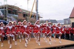 Faschingseröffnung 11.11.2012